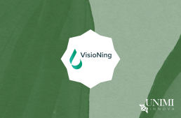 Logo VisioNing su sfondo verde